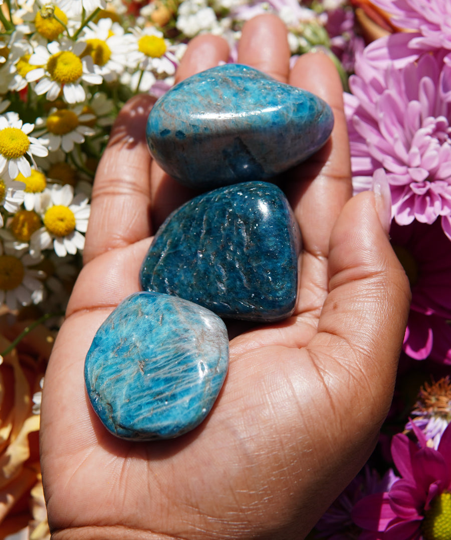 Blue Apatite Palm Stone