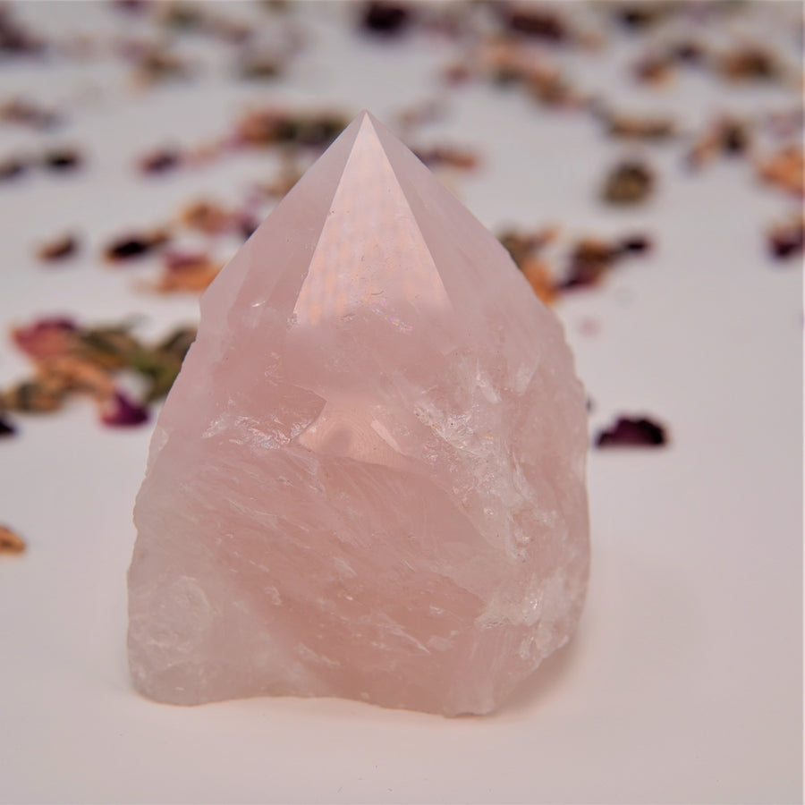 Rose Quartz Polished Point